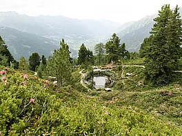 Blick vom Graukogel in Bad Gastein mit einem Teich und Zirbenbäumen auf das Gasteinertal