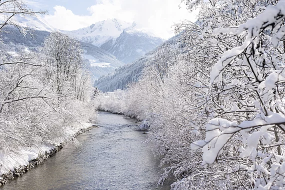Winter in Gastein Gasteiner Ache mit verschneiten Bäumen und Blick auf die Berge