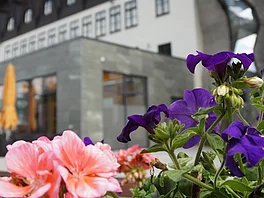 Außenaufnahme Heilstollen und Blumen